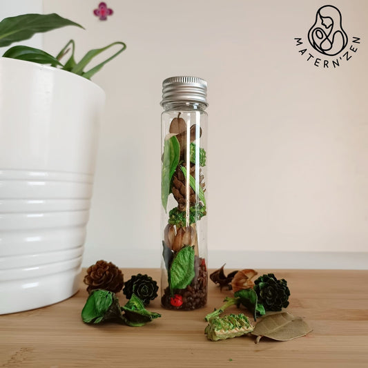 Forest Sound and Visual Sensory Bottle